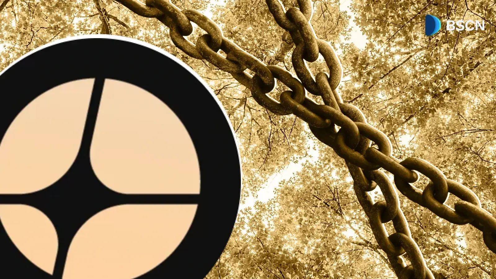 chain