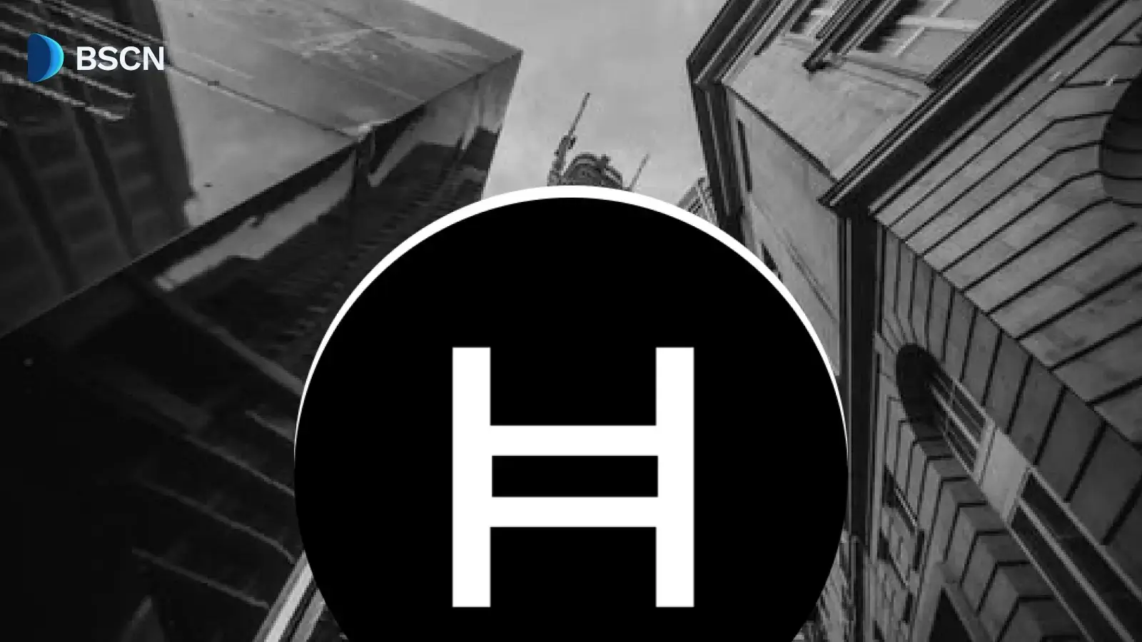 Inside HBAR's Spot ETF Debut: Who's Buying & Why?
