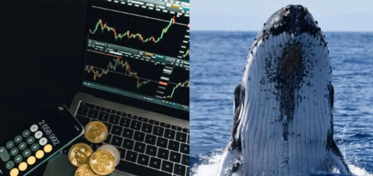 Whales are moving stablecoins onto exchanges fast