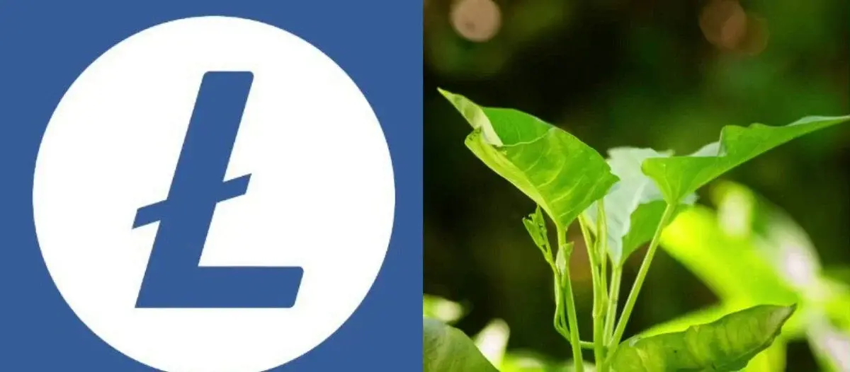 Litecoin Addresses Have Surged by 22 Million in the Past Six Months Alone...