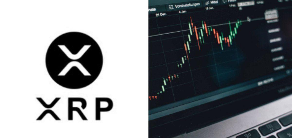 XRP: fewer wallets moving it, more wallets holding it