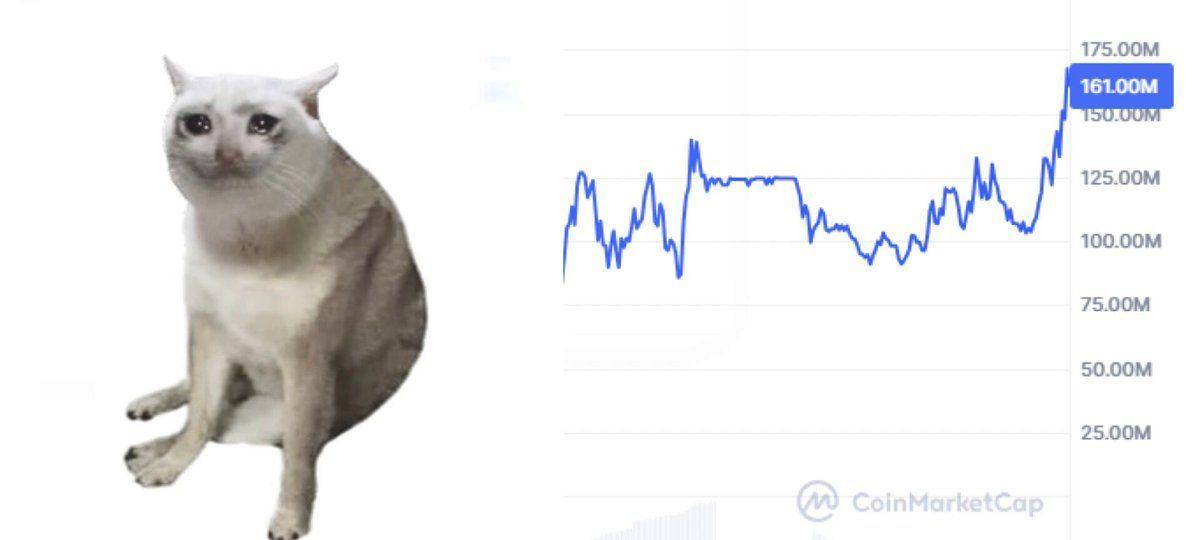 Cash Cat Explodes To $150M Market Cap