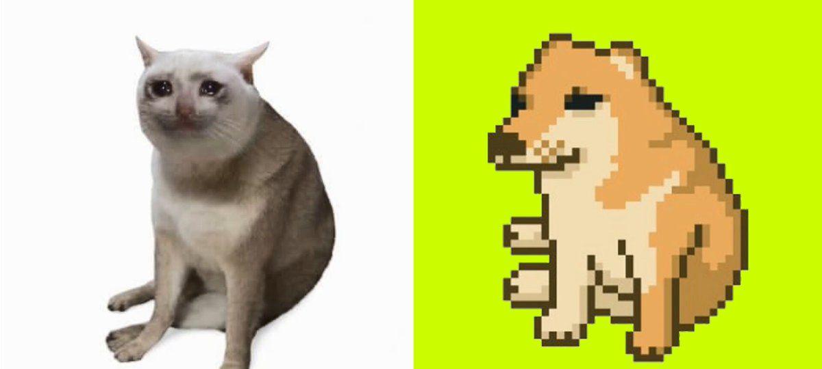 Robinhood Memecoin Boom Fades as CASHCAT Slumps