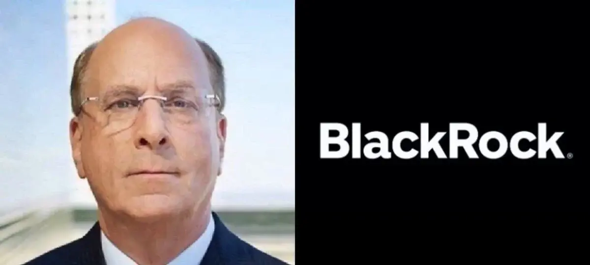 BlackRock Just Gained Untouchable Status
