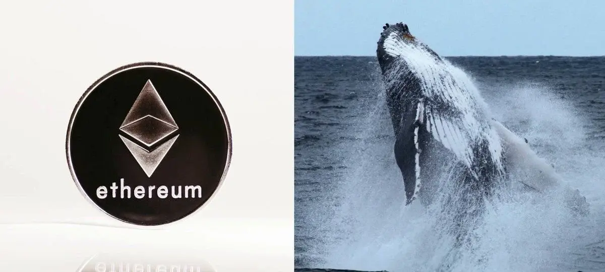 Ethereum Whales Continue Multimillion Dollar ETH Buying Spree