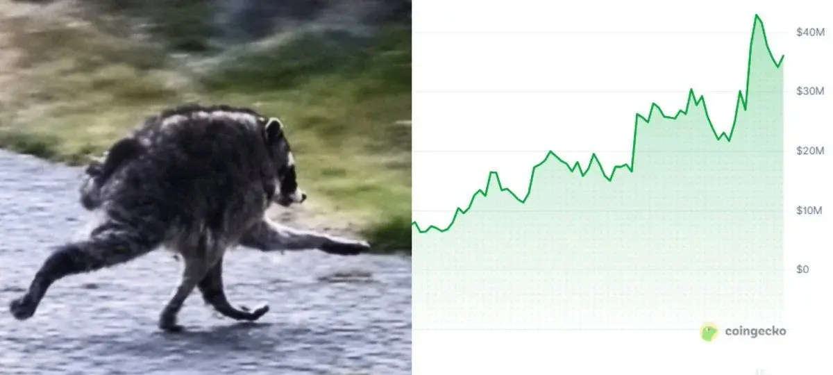 Jimothy Hype Hits New Peak