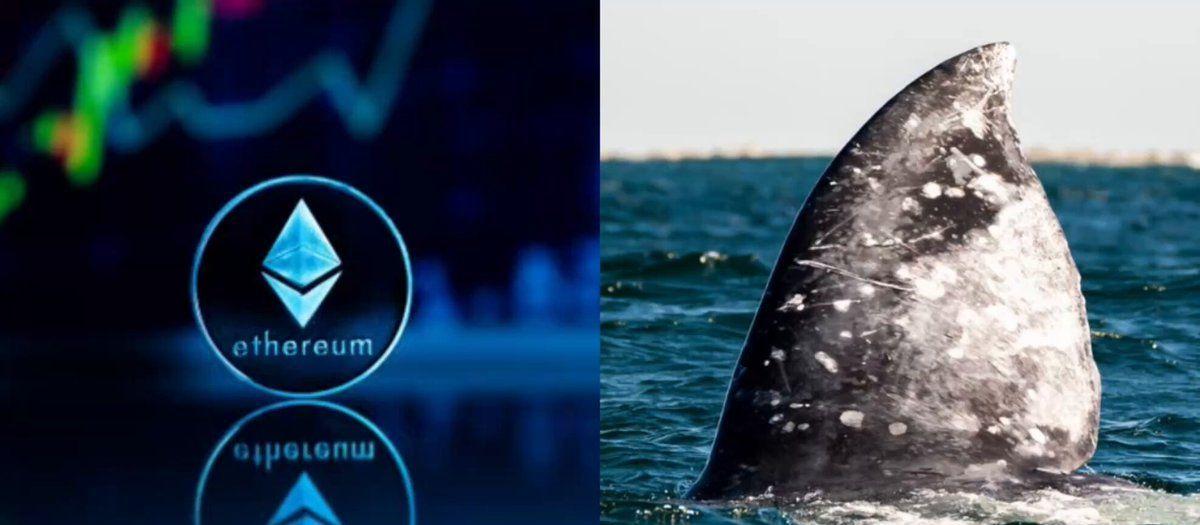ETH Whale Loses $10.8 Million After Eight Months of Dormancy