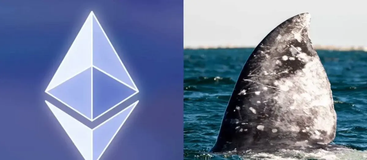 Whale Exits Ethereum with a huge loss after holding long-term