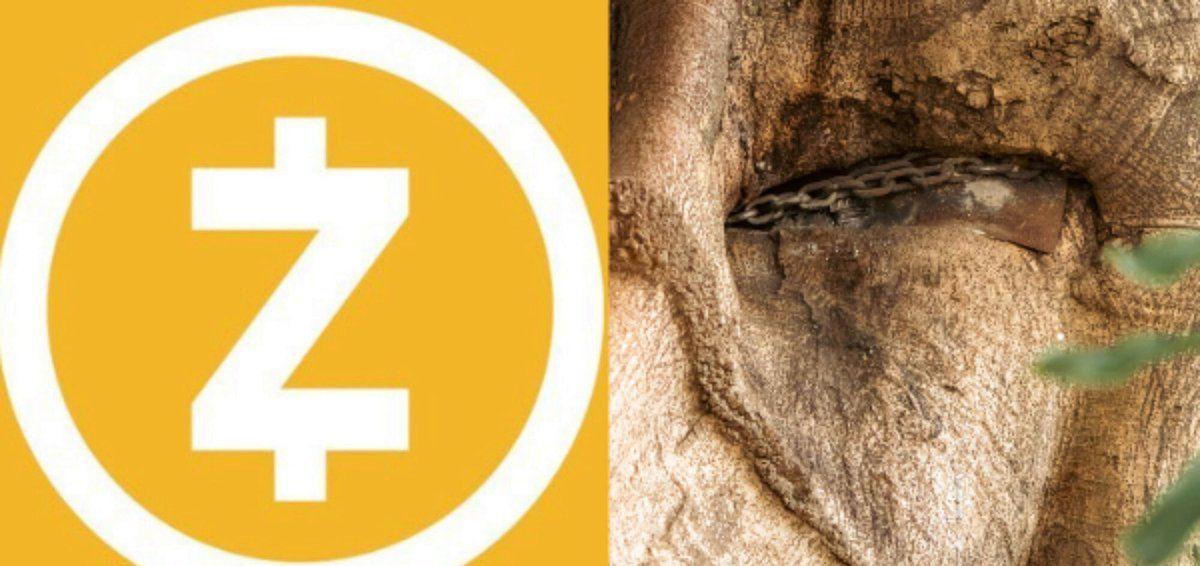 Zcash sealed its main shielded pool and the migration moved fast