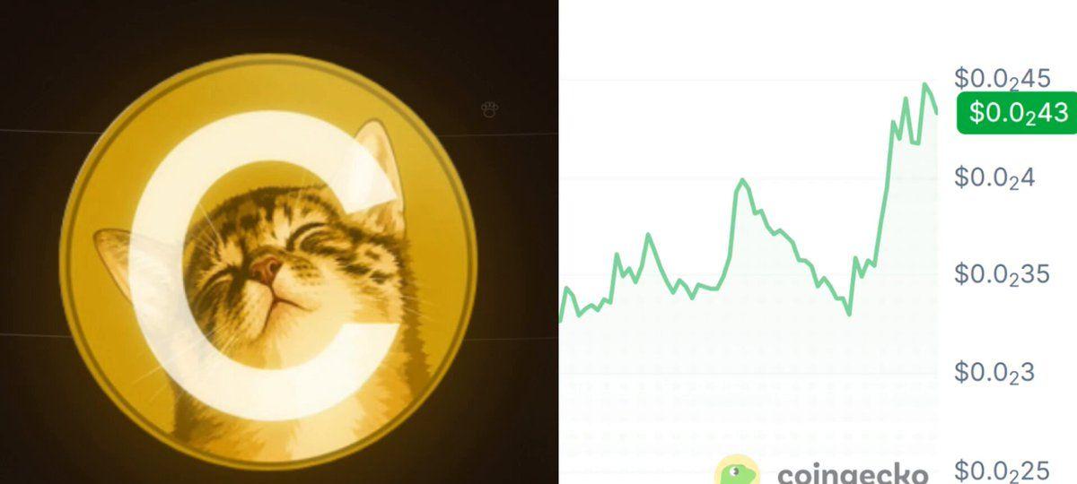 Solana Memecoin CATE Jumps 25% After Viral Rally