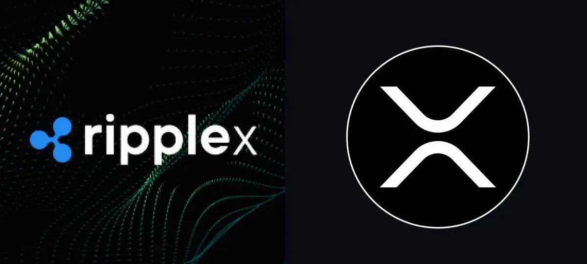 RippleX Developer Redefines How XRP Ledger Utility Is Measured