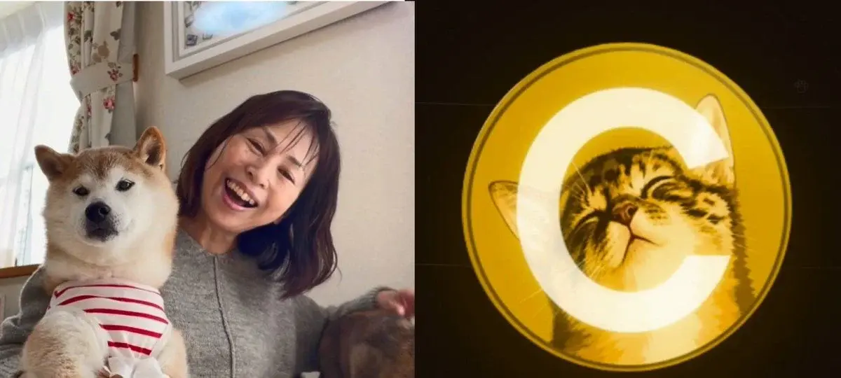 Doge Owner Distances Herself From CATE Tokens