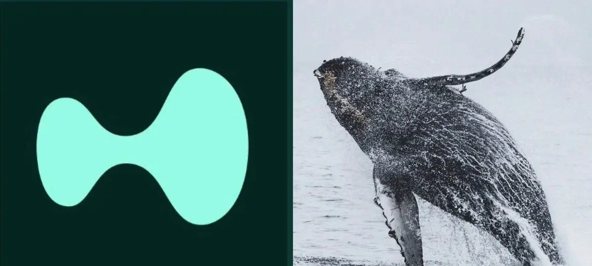 Hyperliquid Whales Continue Large Coinbase Transfers