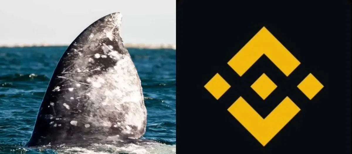 Whale moves large $BTC holdings to Binance