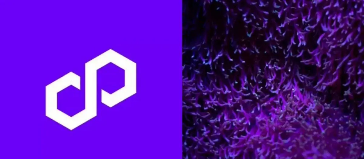 Polygon Went Big On Ecosystem Growth In The Past 2 Weeks!
