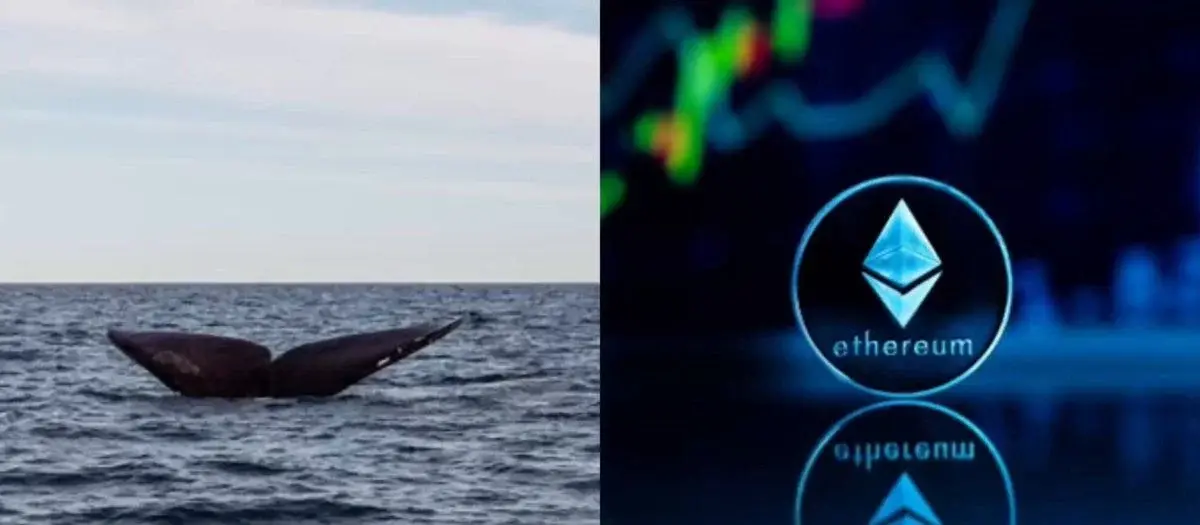 Ethereum Whale Sells Holdings after 3-year Dormancy
