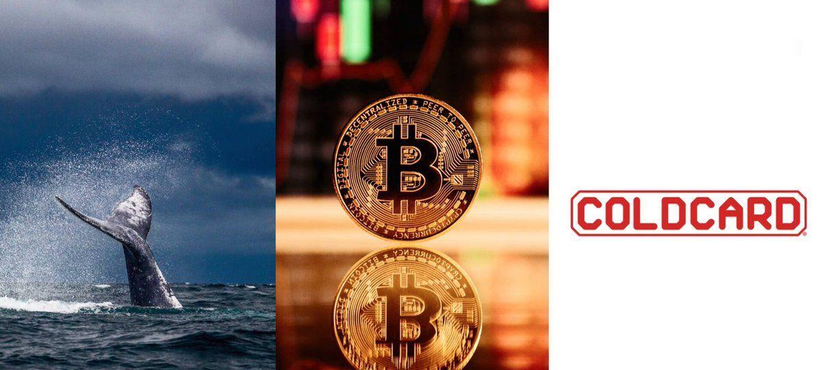 Old Bitcoin Whales Awaken After Coldcard Hack
