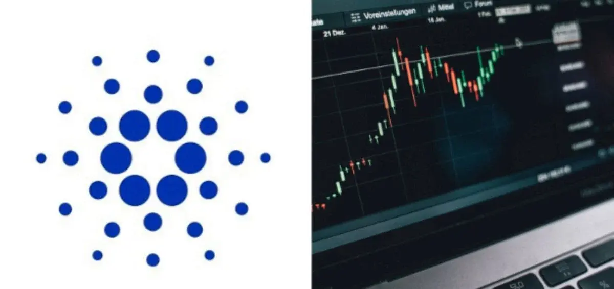 Cardano rallies to one-month high while holder count keeps slipping