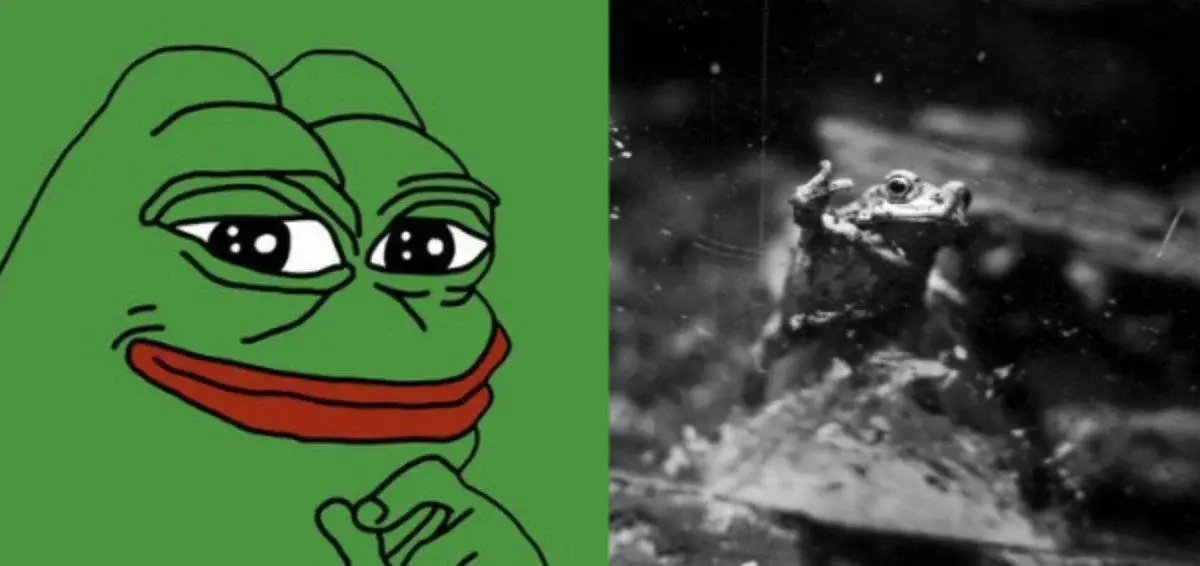 PEPE just saw its biggest exchange exodus in nearly two years