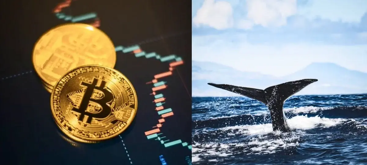 Dormant Bitcoin Is Moving Again, But Not To Exchanges