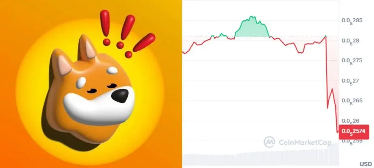 Is This The Biggest Blow To $BONK Yet?
