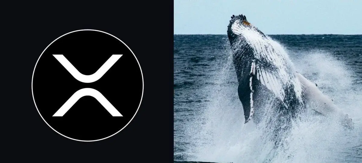 XRP Whale Holdings Surge as Big Holders Target Key Resistance