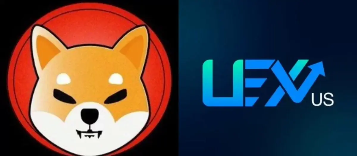 Shib Just Gained More Recognition In The U.S.