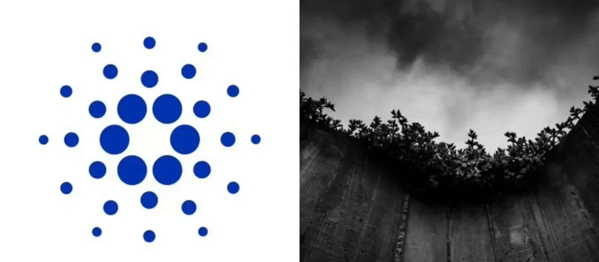 Is Cardano The Biggest Winner In The Recent Crypto Surge?