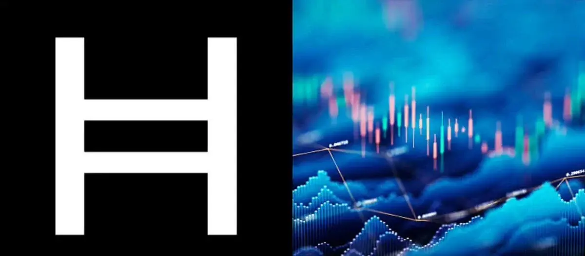 Hedera's network usage tells a strong positive story