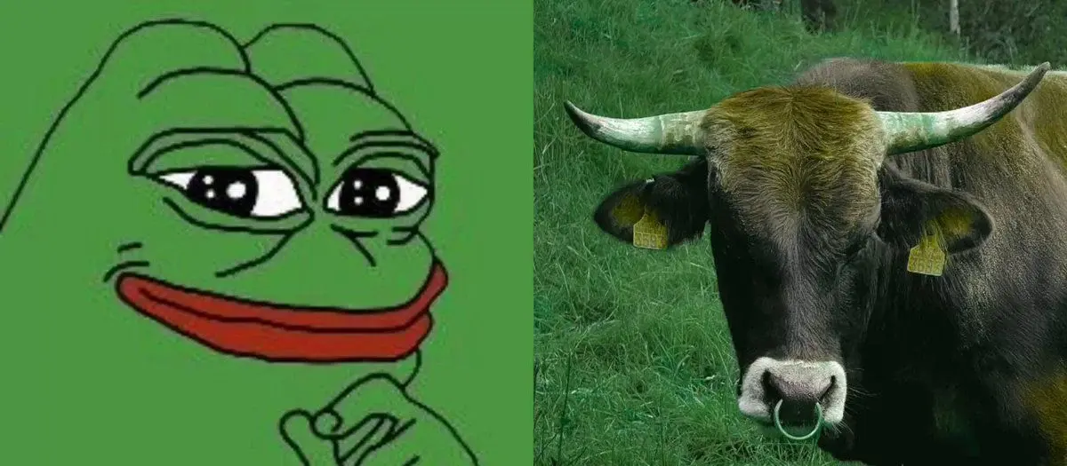 PEPE's Trading Activity Is the Clearest Bullish Signal
