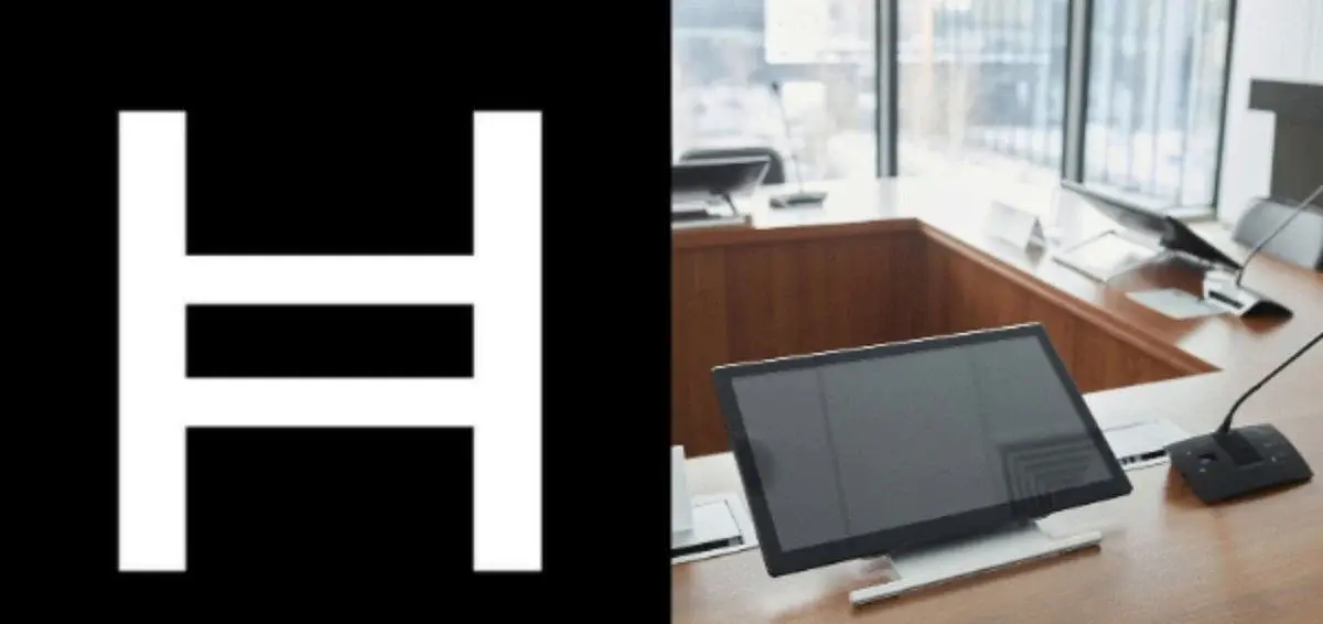 Holding HBAR gives you no vote in how Hedera is governed