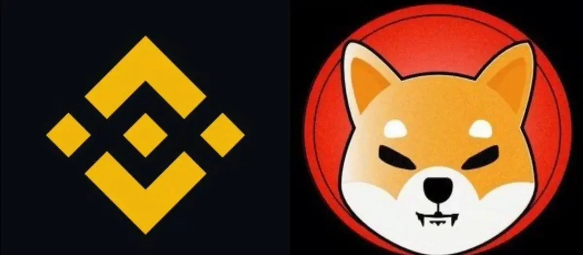 Binance moved a large amount of SHIB Tokens...