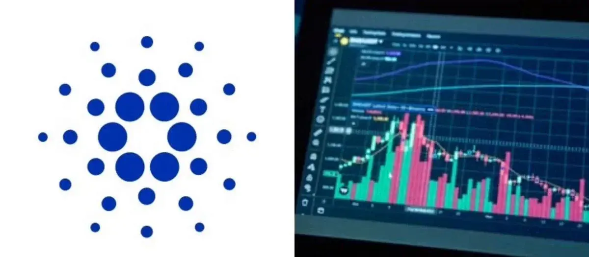 Cardano DEX Volume hits unreal numbers