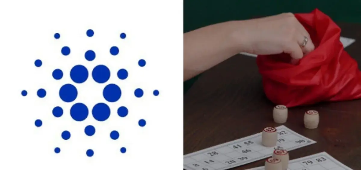 Cardano picks its block producers through a lottery only the winner can see