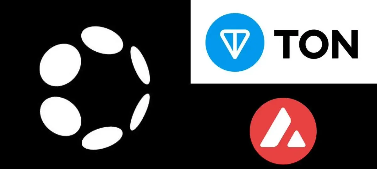 Polkadot Outpaces Ton And Avalanche on Decentralization Metric