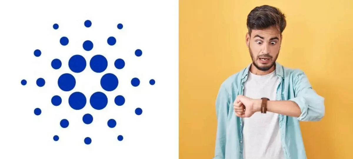 Cardano's Critical Governance Vote Hits The Final Hours