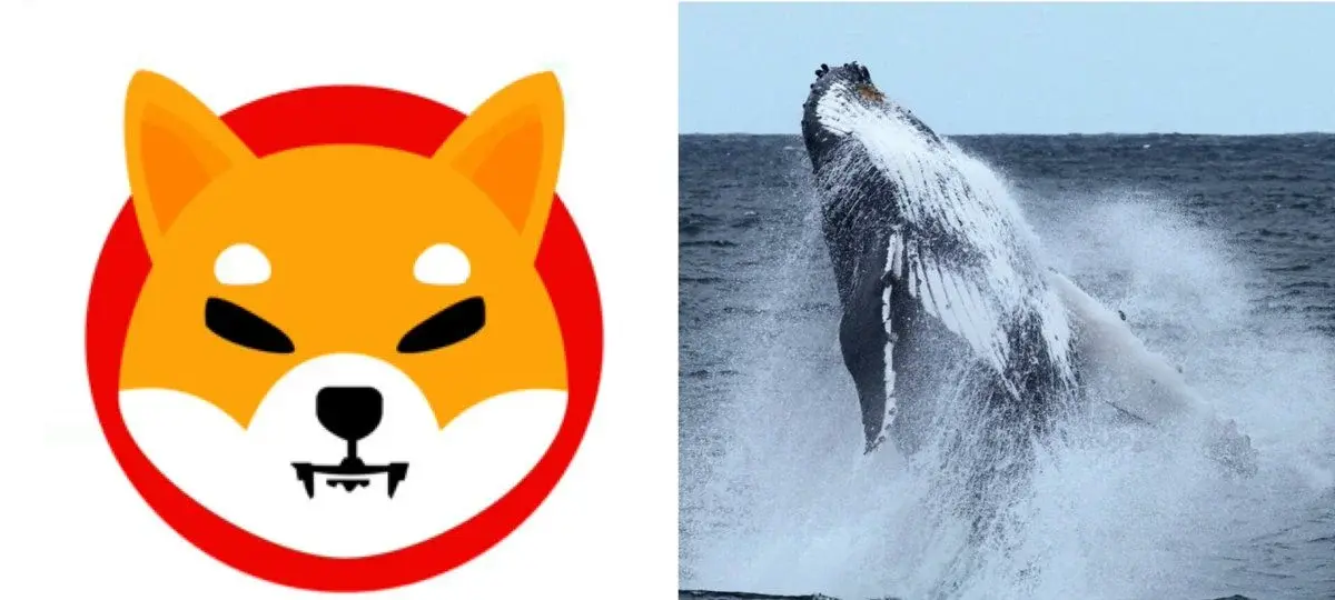 Shiba Inu Whale Keeps Unloading a Position Once Worth $9B