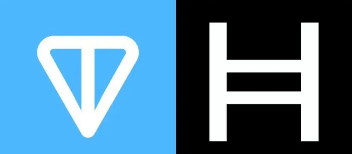 TON and Hedera Top Activity Increase This Week