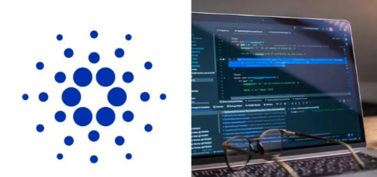 The Cardano Foundation has published its full developer training path online