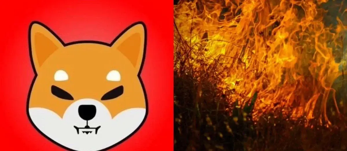 SHIB Burn drops 90% in the last 24 hours