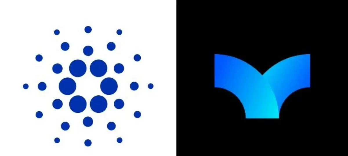 Cardano's Splash Exploit is Patched, But 2.4M ADA Still Missing