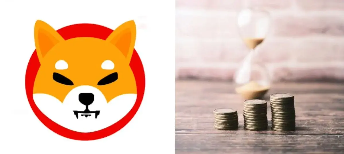 Shiba Inu Accumulation Surges After Oversold Signal