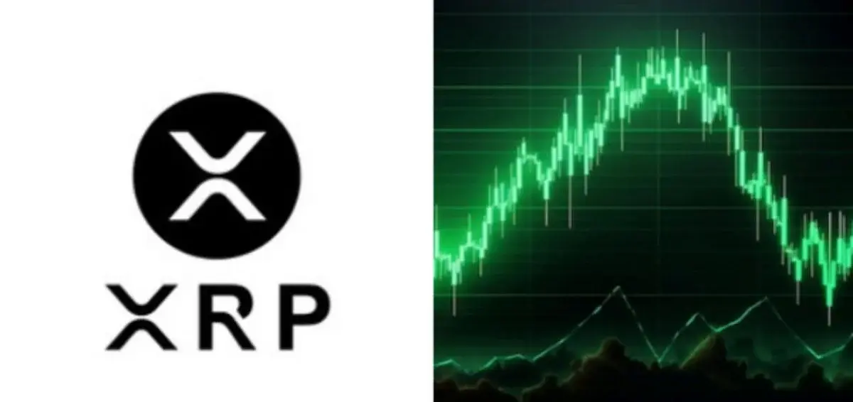 New XRP wallets surge as price clings to $1