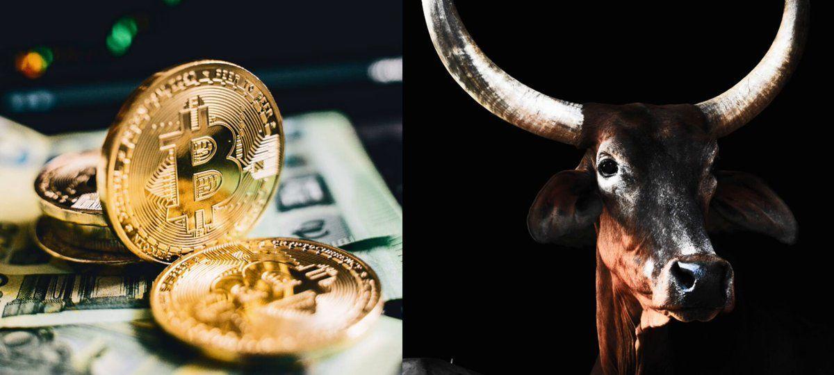 Bitcoin Parabolic Rally Still Possible
