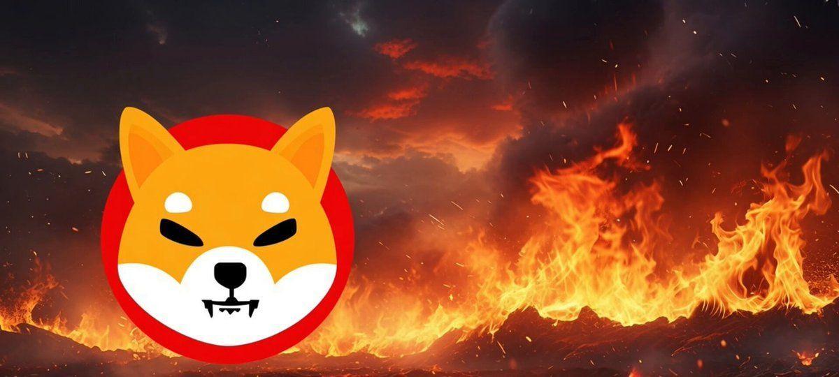 Shiba Inu Burns Hit One Month High
