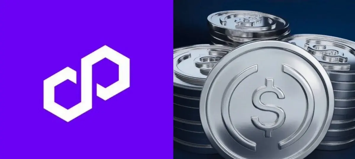 Polygon Stablecoin Transfers Hit New Record In June