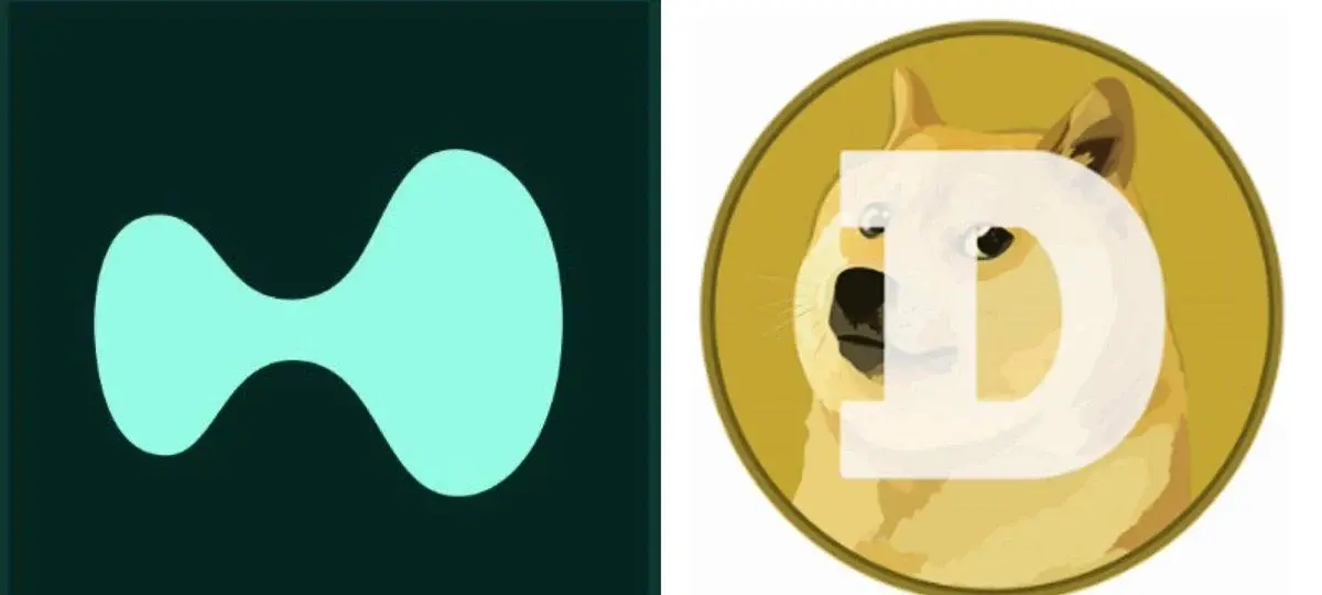 Hyperliquid Flips Doge In Market Cap Race
