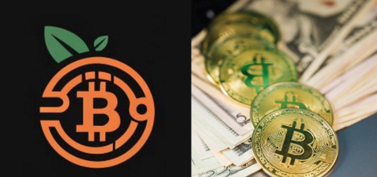 London's Bitcoin treasury revolt