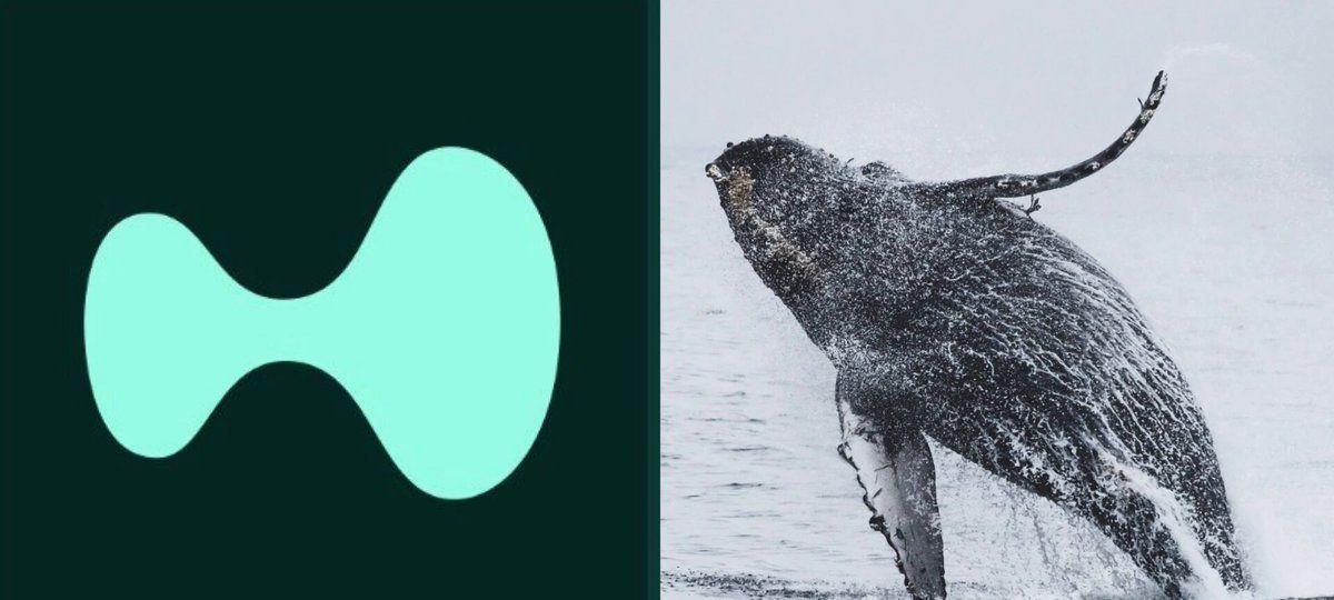 Hyperliquid Whale Makes Massive Staking Bet
