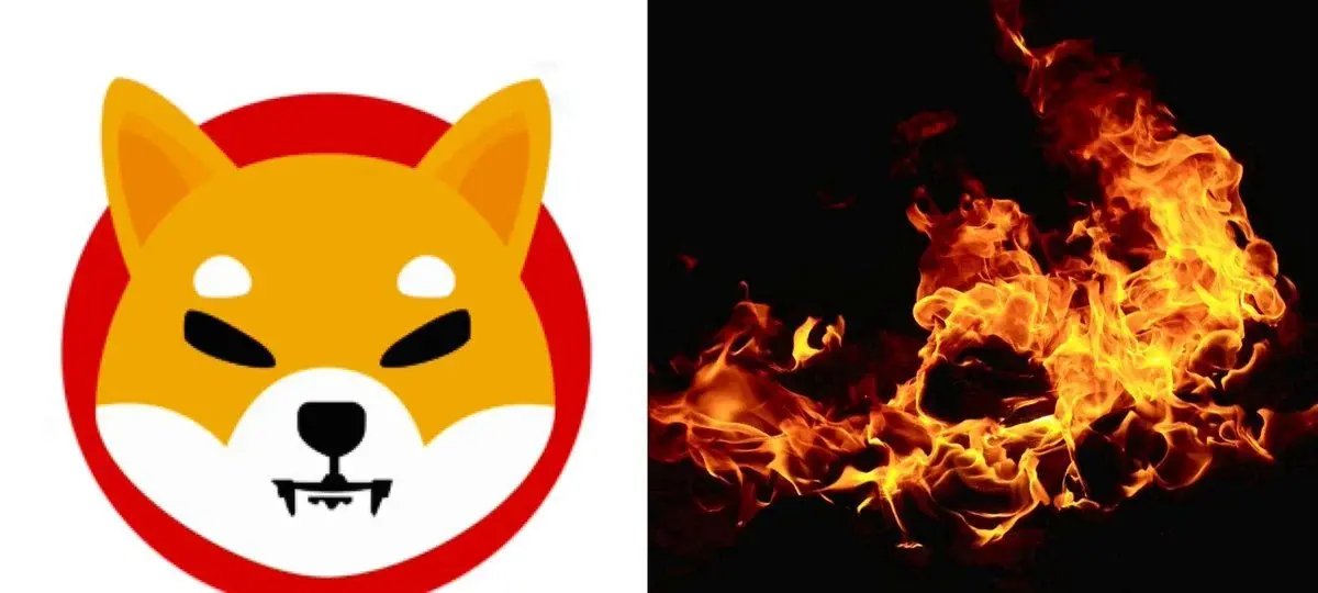 Shiba Inu Weekly Burns Hit One Year High